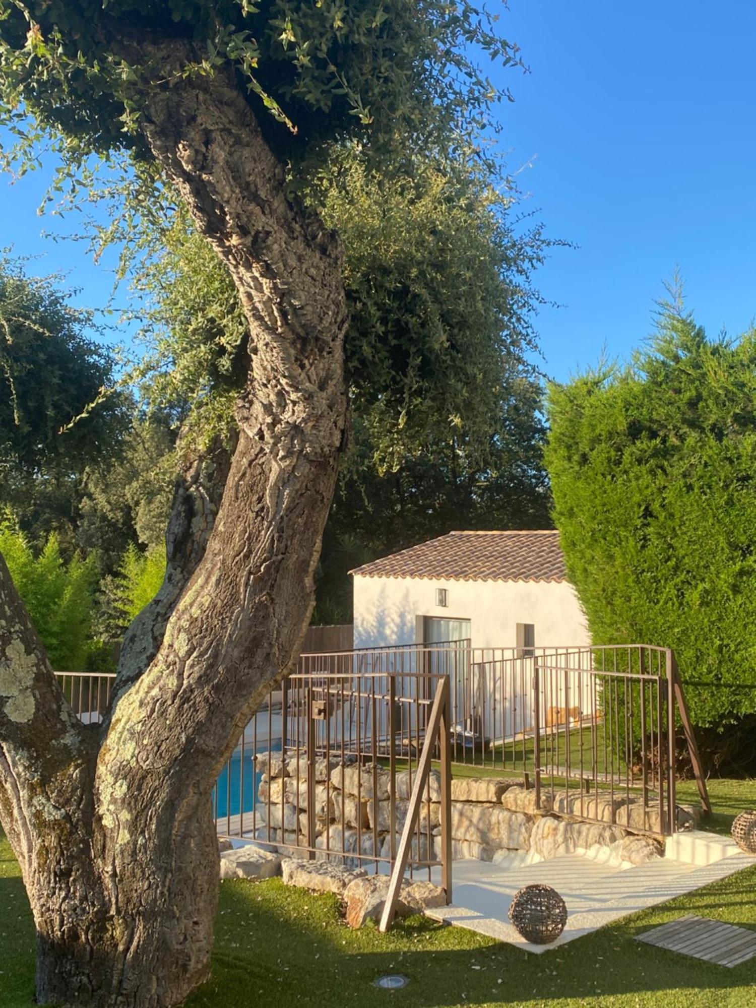 Le Cabanon De Val Bed & Breakfast Gassin Bagian luar foto